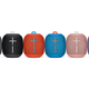UE Wonderboom - $80